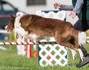 20170520-neat-2840