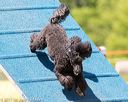 20170520-neat-1288