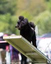 20170520-neat-1297