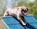 20170520-neat-1337