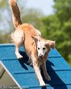 20170520-neat-1401