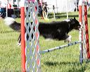 20170520-neat-0258