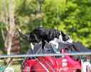 20170520-neat-0336