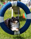 20170520-neat-1529