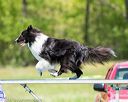 20170520-neat-1534