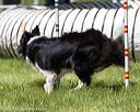 20170520-neat-1544