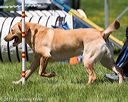 20170520-neat-1564