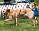 20170520-neat-1565