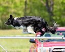 20170520-neat-1632