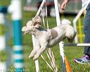 20170520-neat-2615