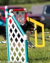20170520-neat-2625