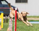 20170520-neat-2653