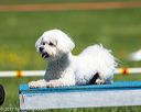 20170520-neat-0967