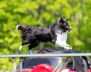 20170520-neat-0988
