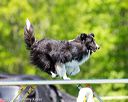 20170520-neat-0990