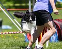 20170520-neat-0993