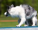 20170520-neat-1018