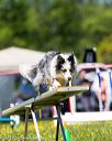 20170520-neat-1023