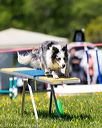 20170520-neat-1024