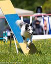 20170520-neat-1026