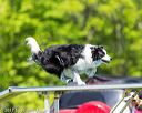 20170520-neat-1028