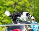 20170520-neat-1029