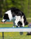 20170520-neat-1039