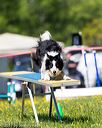20170520-neat-1045