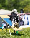 20170520-neat-1046