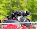 20170520-neat-1068