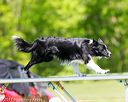 20170520-neat-1070