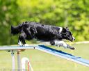 20170520-neat-1073