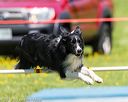 20170520-neat-1076