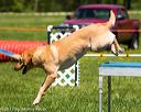 20170520-neat-1097