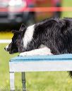 20170520-neat-1148