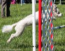 20170520-neat-0463