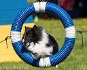 20170520-neat-0476