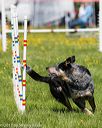 20170520-neat-0497