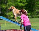 20170520-neat-0571