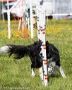 20170520-neat-0622