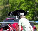 20170520-neat-0654