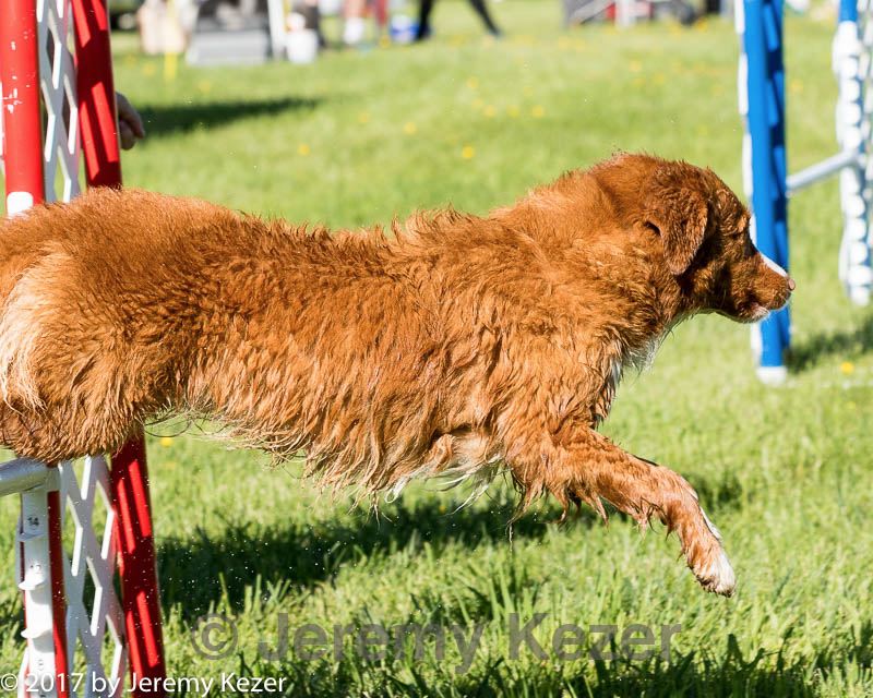 20170520-neat-0146.jpg