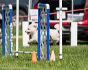 20170520-neat-2478