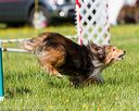 20170520-neat-2487