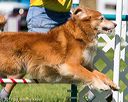 20170520-neat-2536