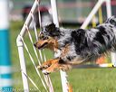 20170520-neat-2546
