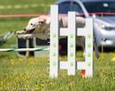 20170520-neat-2570