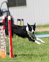 20170520-neat-2584