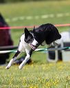 20170520-neat-2587