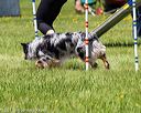 20170520-neat-1420